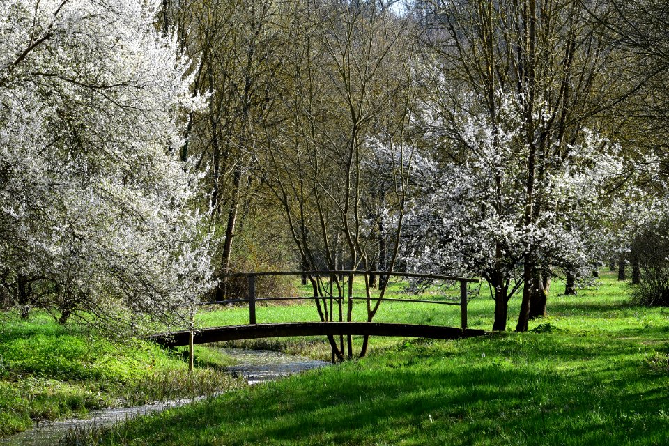 Les Chemins clectiques (La Varenne)