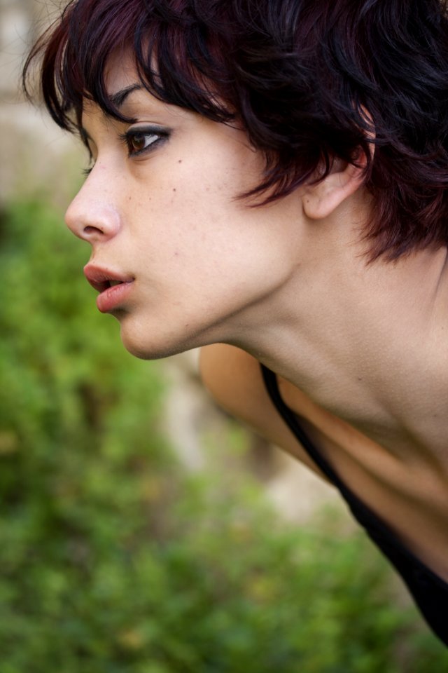 Face Beauty Nose Chin