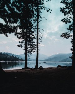 Branches Calm Waters Clouds