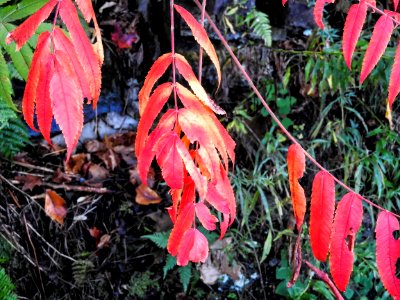 Nature 638