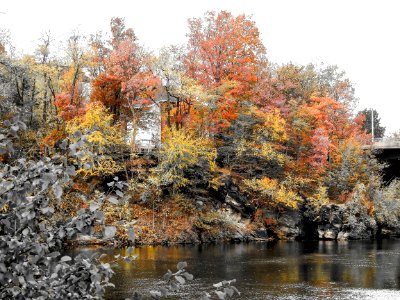 Nature 641