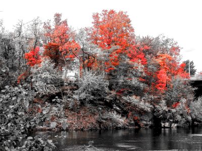 Nature 640