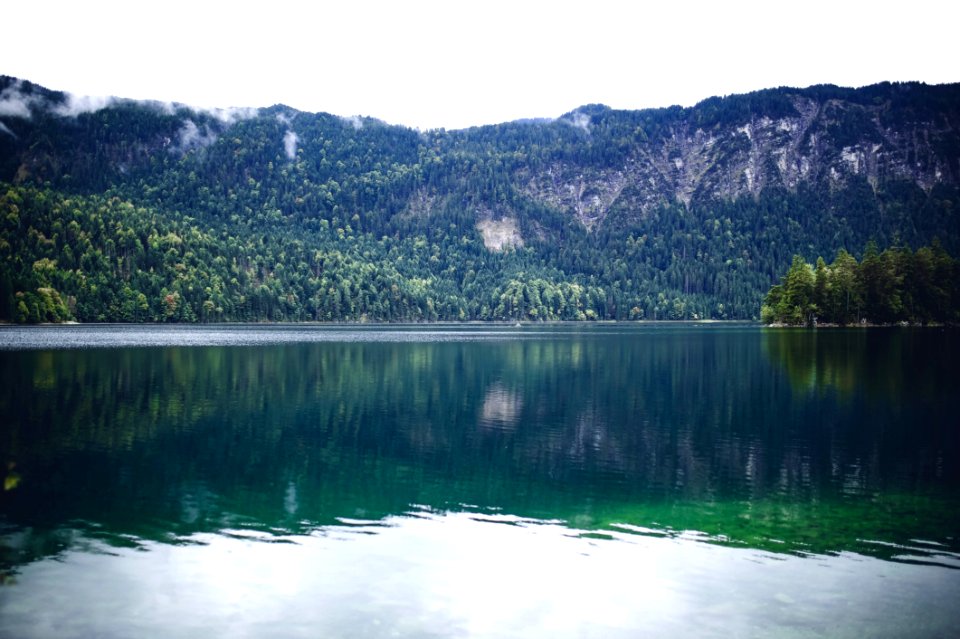 Calm Waters Conifers Environment