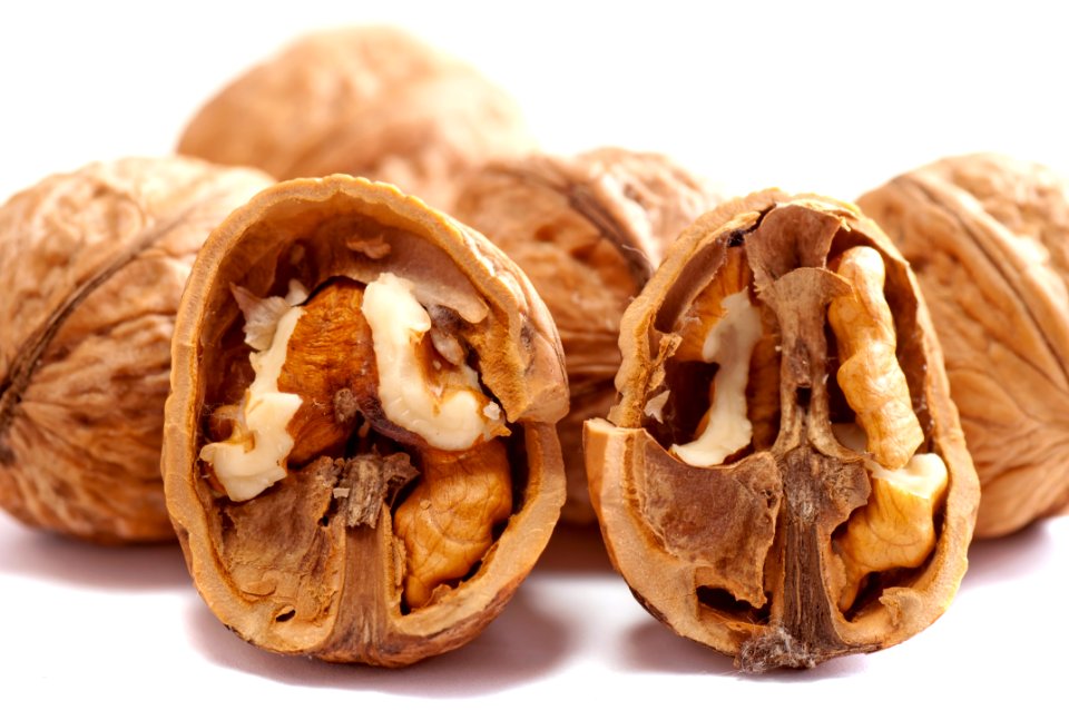 Tree Nuts Walnut Nuts amp Seeds Nut