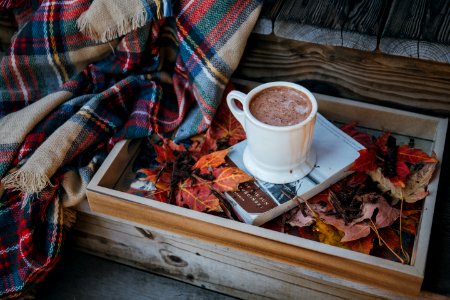 Coffee Color Cup Drink Family