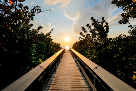 Backlit Boardwalk Clouds Dawn