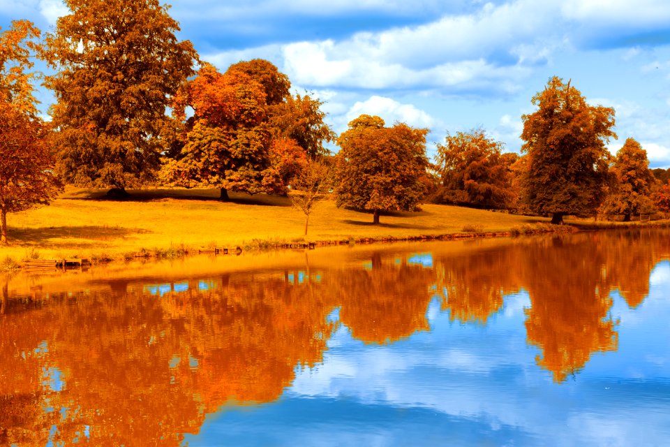 Autumn By The Lake photo