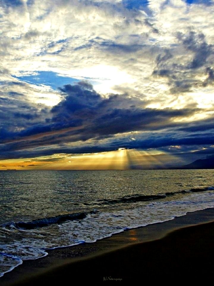 Seashore At Sunset