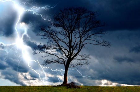 Tree And Storm photo