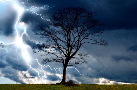 Tree And Storm