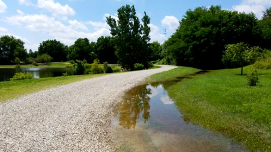 Chadwick Arboretum And Learning Gardens photo