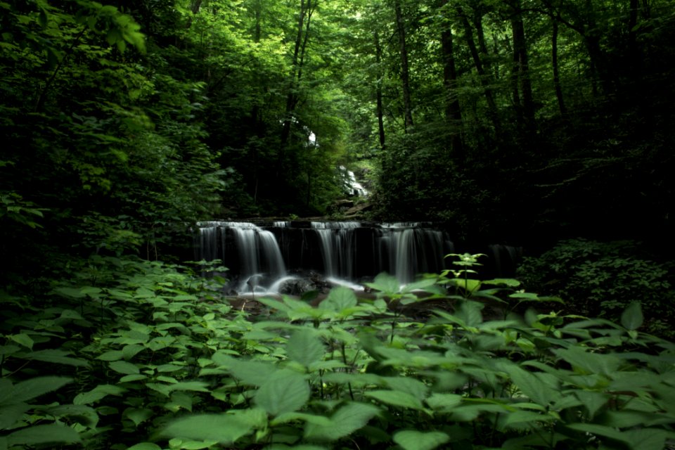 PearsonFalls4