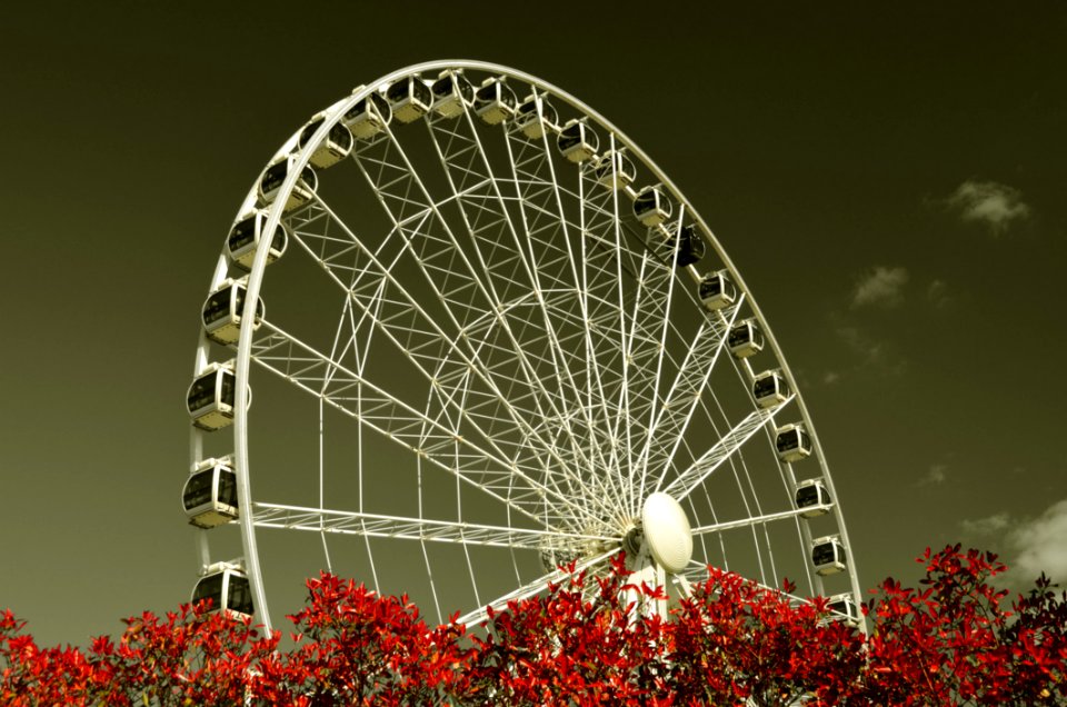 York Eye Attraction