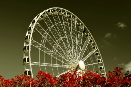 York Eye Attraction