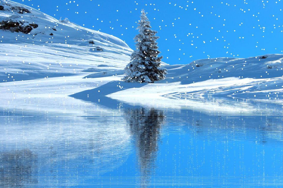 Nature Water Sky Winter