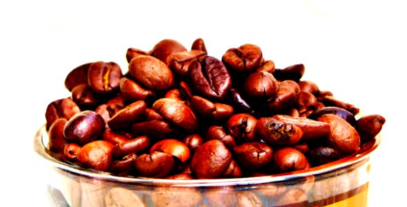 Food Nuts amp Seeds Chestnut Nut