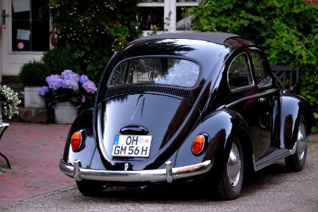 Car Motor Vehicle Vehicle Volkswagen Beetle photo