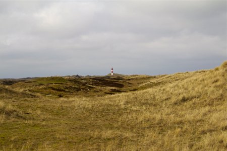 Sky Grassland Grass Coast