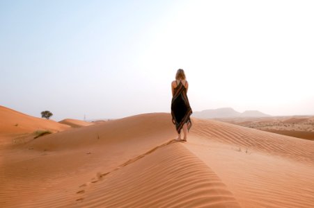 Desert Erg Aeolian Landform Sand photo