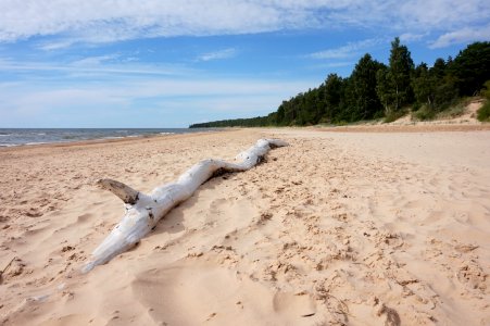 Beach Body Of Water Coastal And Oceanic Landforms Shore