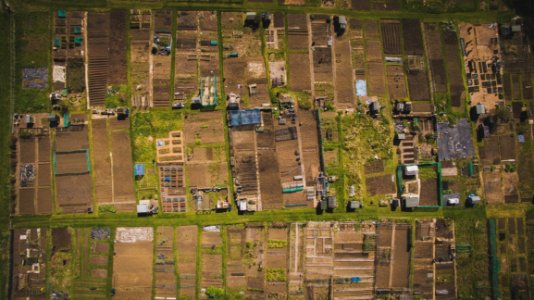 Suburb Residential Area Birds Eye View Aerial Photography