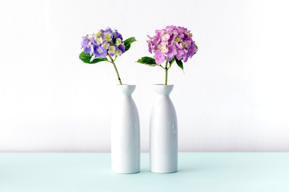Vase Purple Lilac Flower