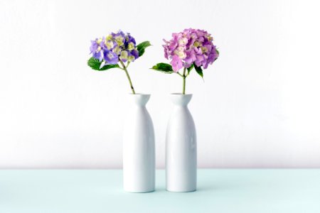 Vase Purple Lilac Flower