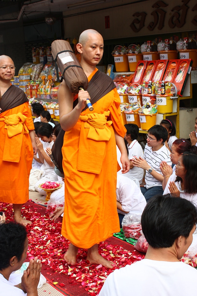 Rose petals thailand wat photo