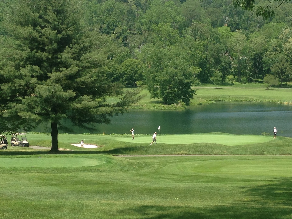 Golfing sport grass