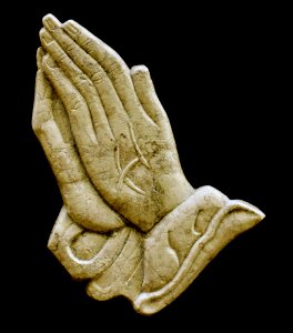 Hand Artifact Stone Carving Organism