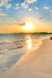 Tranquil Beach