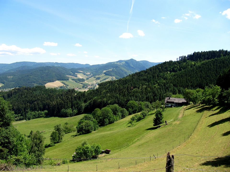 Landscape distant view forest house