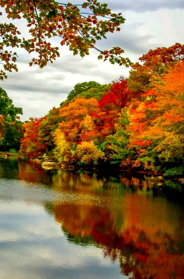 Autumn Trees Reflecting On Lake