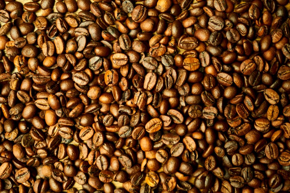 Commodity Seed Bean Nuts amp Seeds