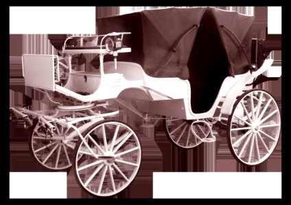 Carriage Black And White Horse And Buggy Chariot photo