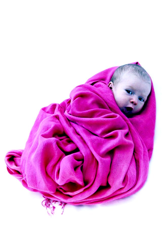 Pink Magenta Product Rose Family