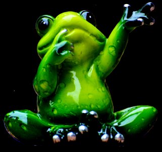 Ranidae Green Amphibian Frog
