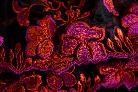 Purple Pink Violet Coral Reef