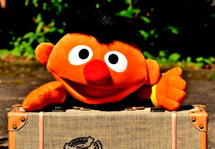 Stuffed Toy Plush Toy Textile