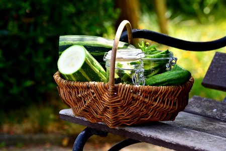 Basket Flowerpot Plant Vegetable photo