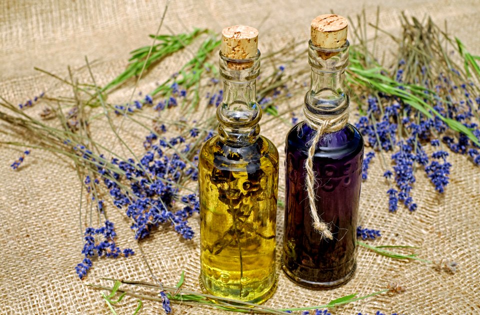Glass Bottle Herb Plant