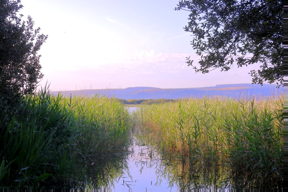 Sky Wetland Nature Reserve Water