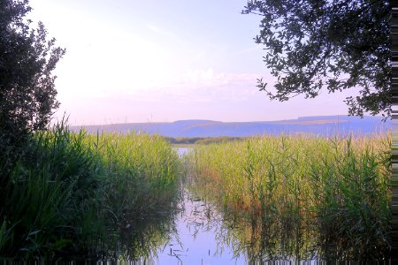 Sky Wetland Nature Reserve Water photo