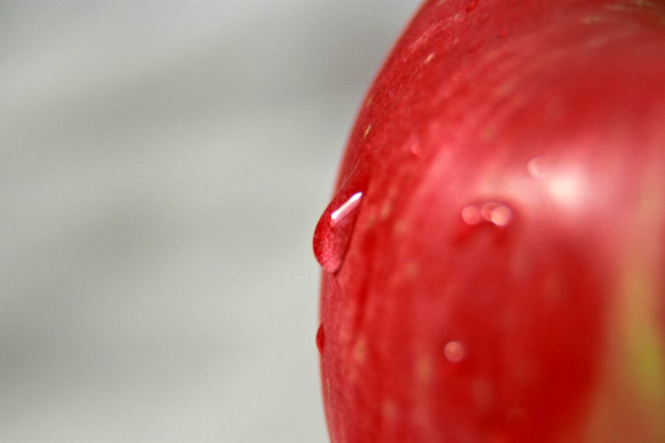 Red Close Up Macro Photography Produce