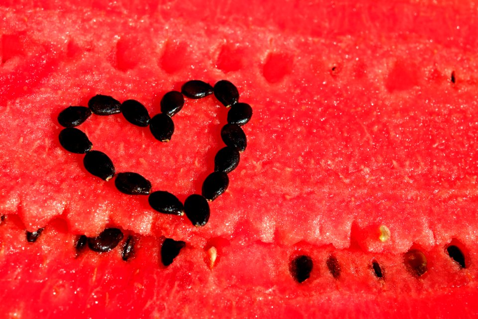 Red Macro Photography Close Up Melon