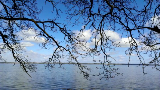 Water Sky Reflection Branch