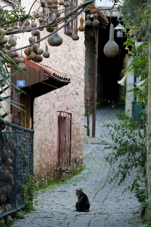 Town House Alley Village