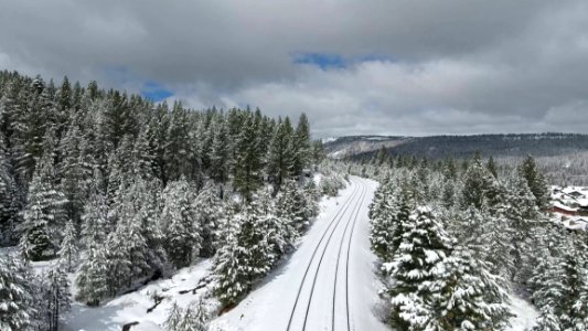 View Of Forest Coated With Snow photo