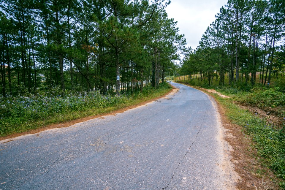 Gray Concrete Road