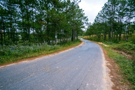 Gray Concrete Road